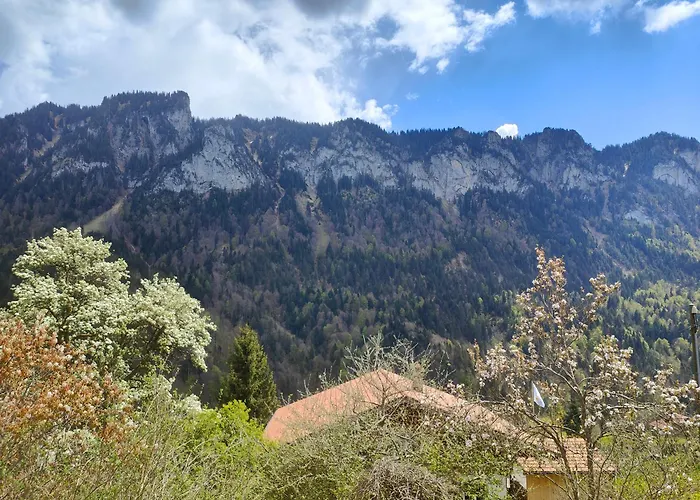 Mountain Village Room