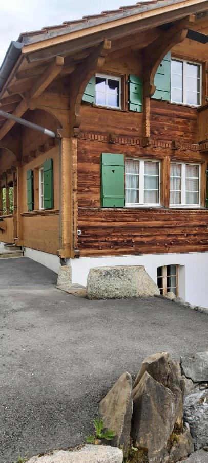 Homestay Mountain Village Habkern