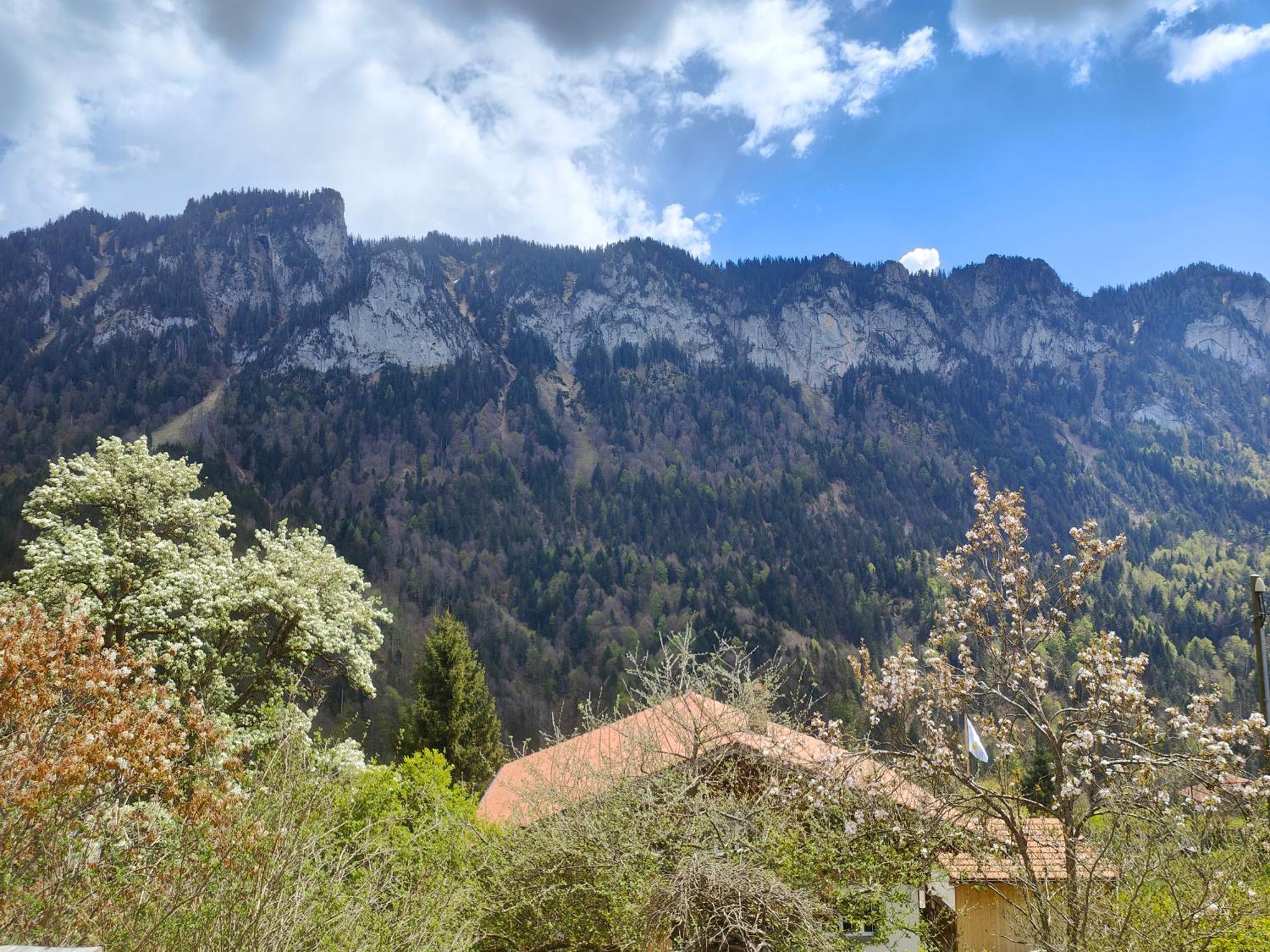 Homestay Mountain Village *