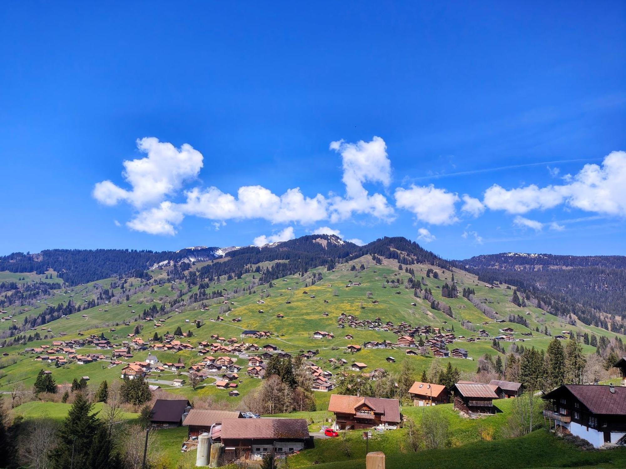 Homestay Mountain Village Habkern