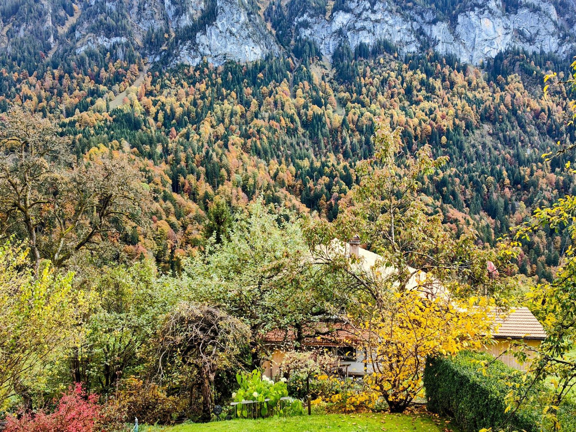 Mountain Village Homestay *